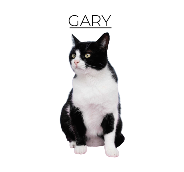 Personalised minimalist design cat poster - TenStickers