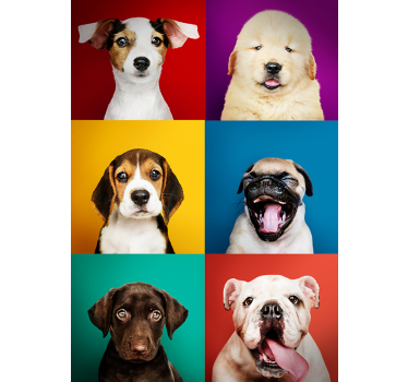Dog puppy poster - TenStickers