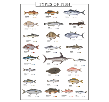 Fishes poster - TenStickers
