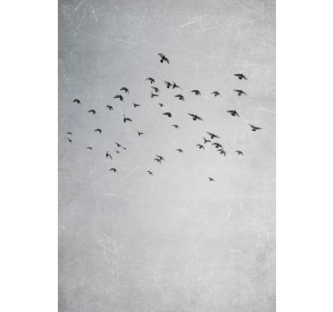 Birds flying animal design wall poster - TenStickers