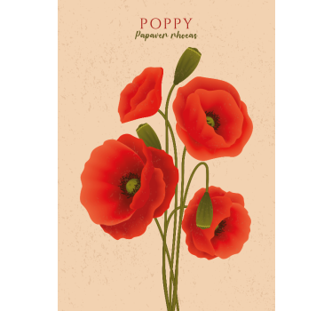 Poppy Flowers Decor Poster - TenStickers