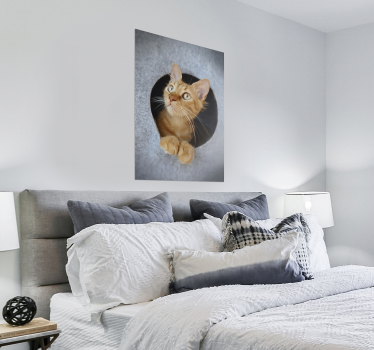 Peeking cat poster print - TenStickers
