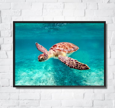 Sea ​​turtle oceanic design wall art poster - TenStickers