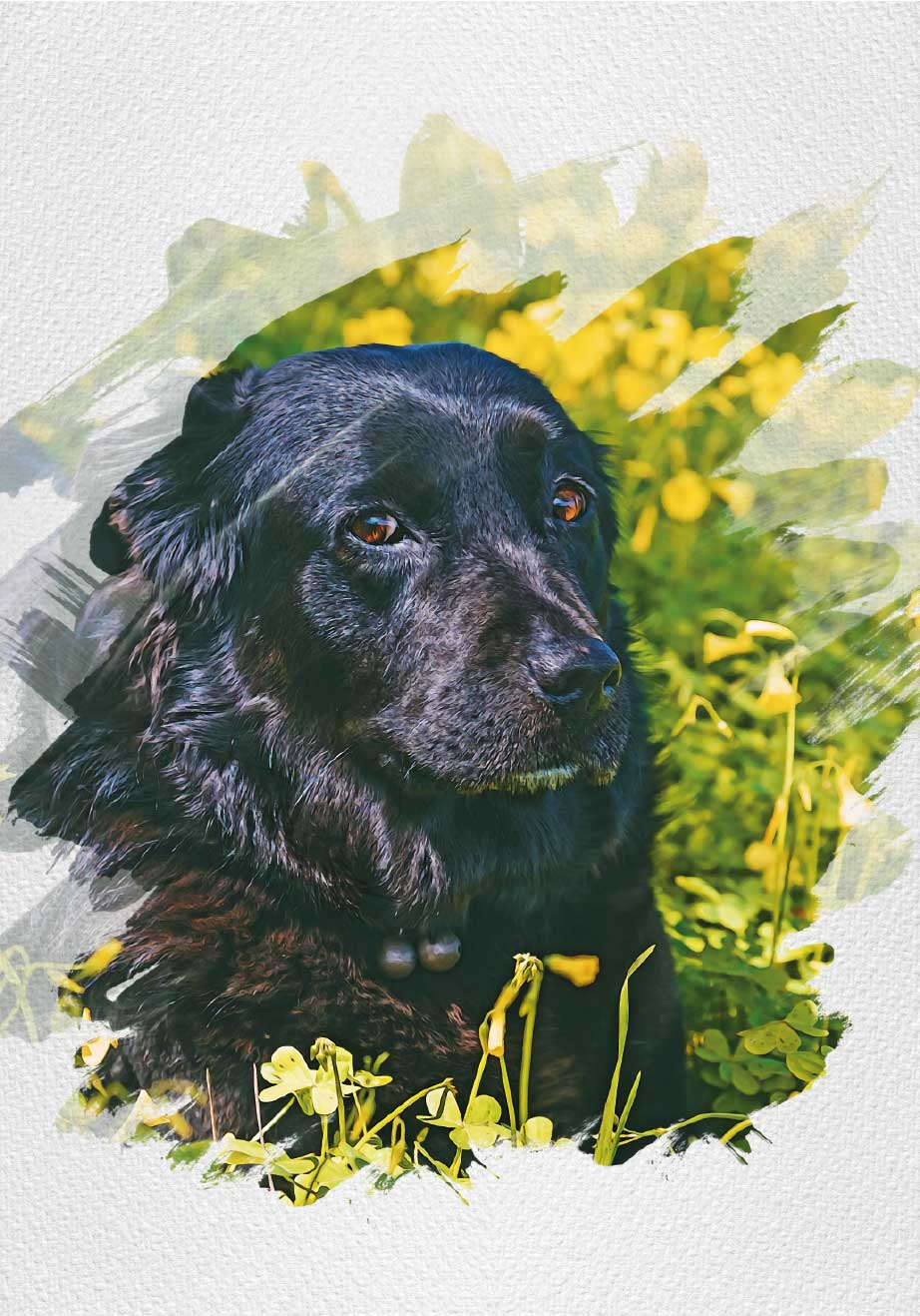 Personalised watercolour dog poster - TenStickers