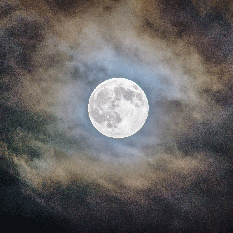 Living room poster full moon night - TenStickers