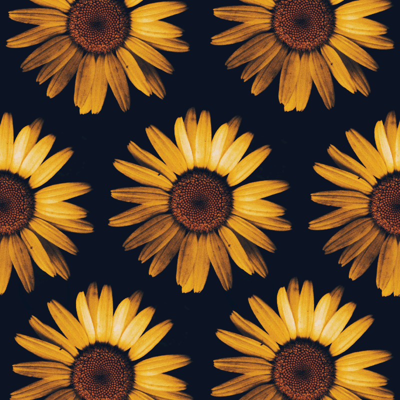 Living room poster yellow sunflower print - TenStickers
