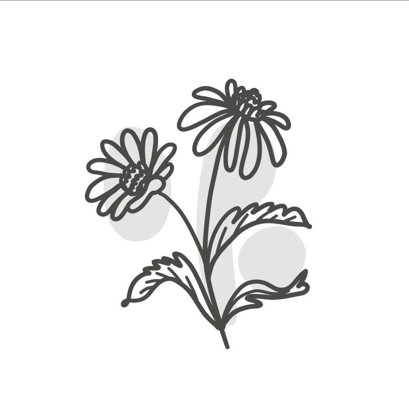 Living room poster group of daisy flowers line art - TenStickers