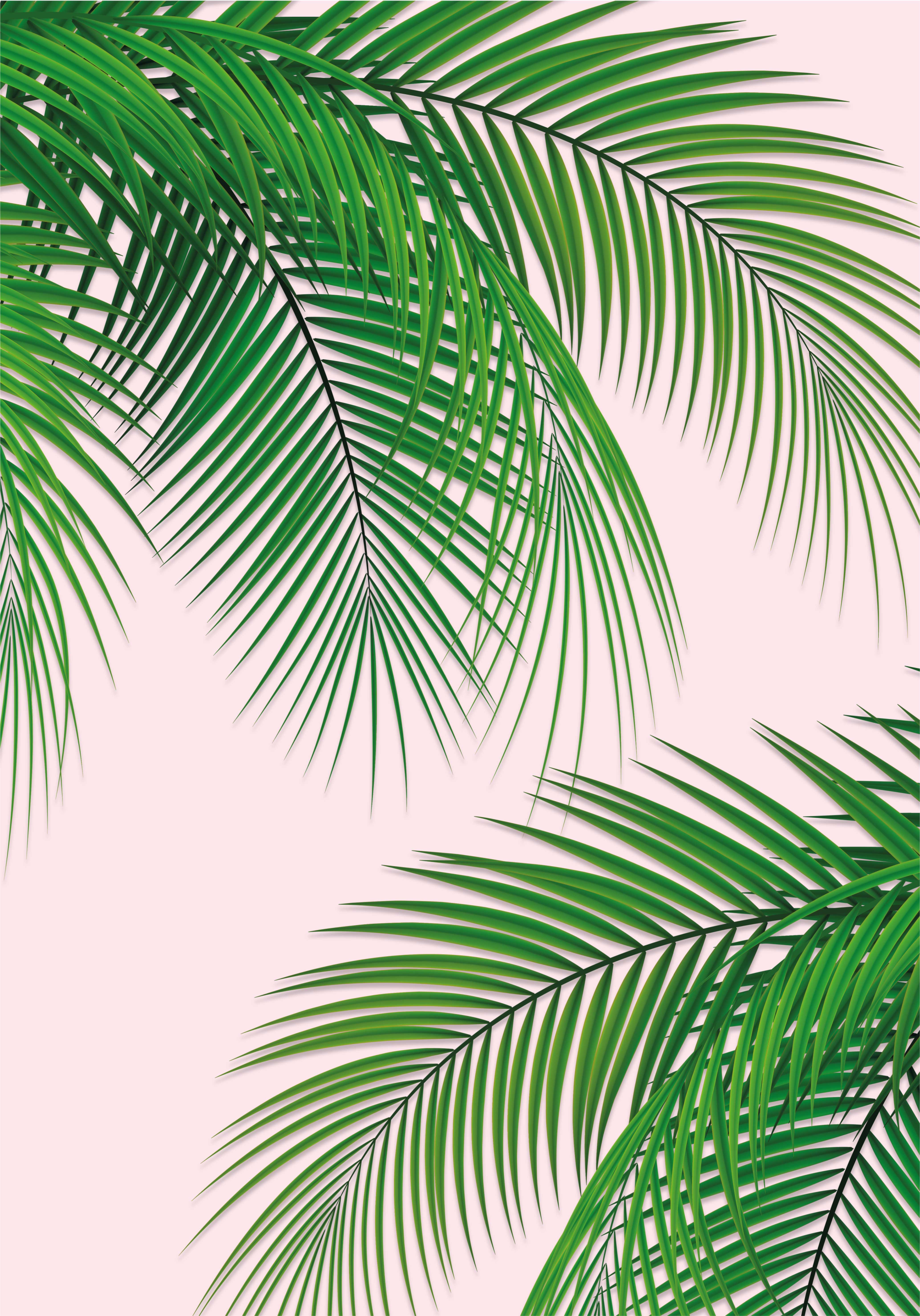 Tropical leaf tree poster - TenStickers