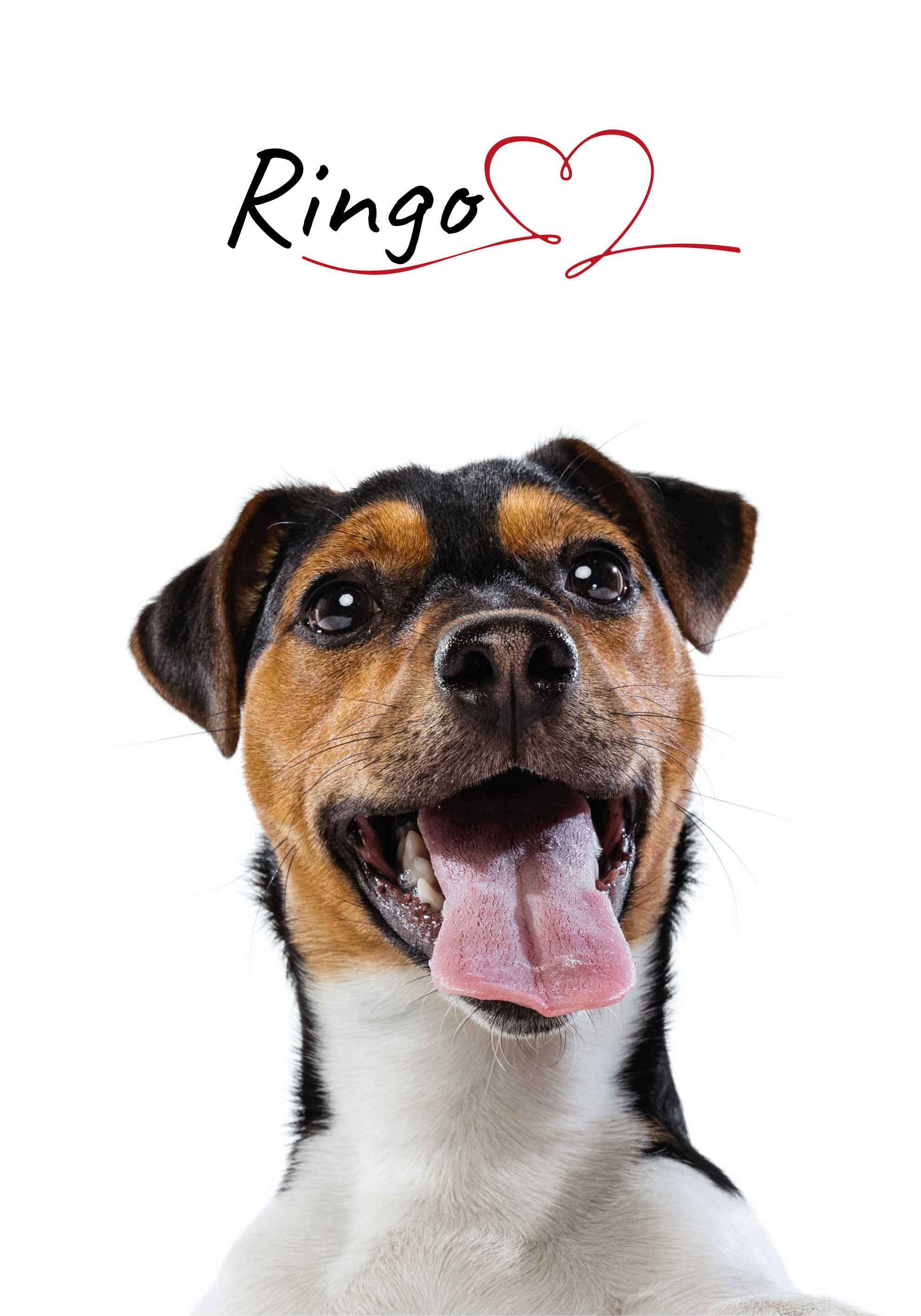 Customisable Dog love poster - TenStickers