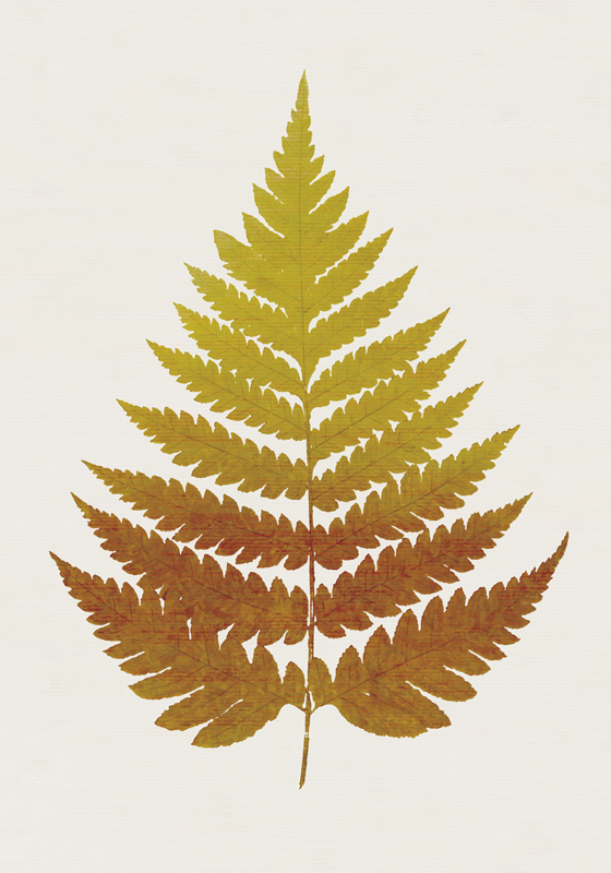 Golden Fern Leaf Poster Wall - TenStickers