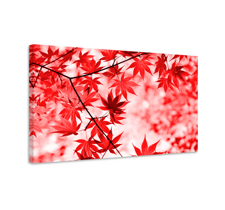 Vivid Red Maple Leaves Flowers  canvas - TenStickers