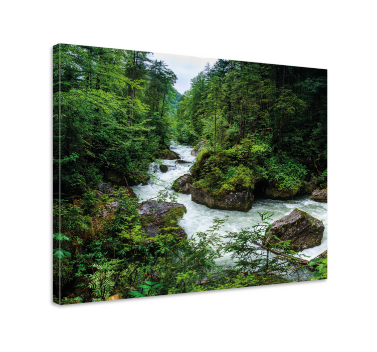 Serene forest river landscape canvas - TenStickers