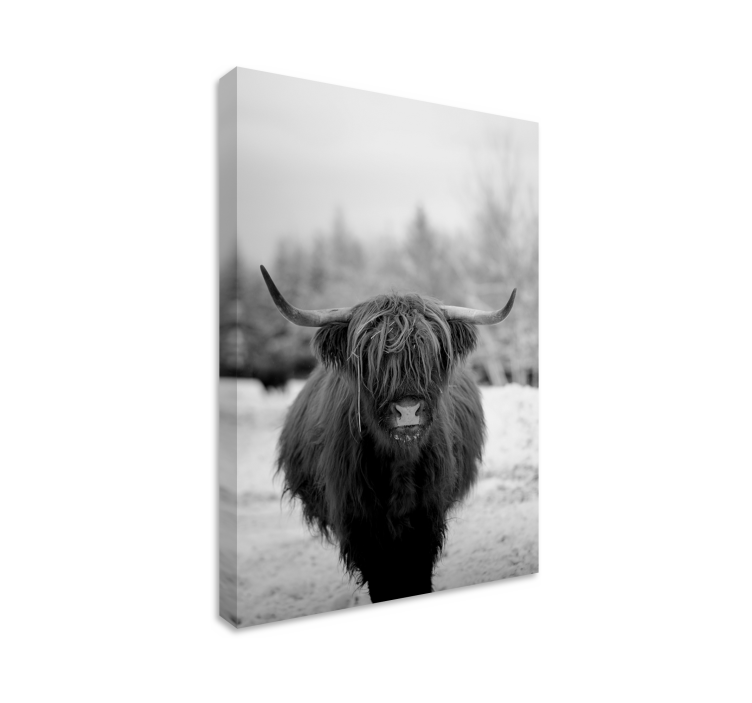 Animal canvas wall art highland cow portrait - TenStickers