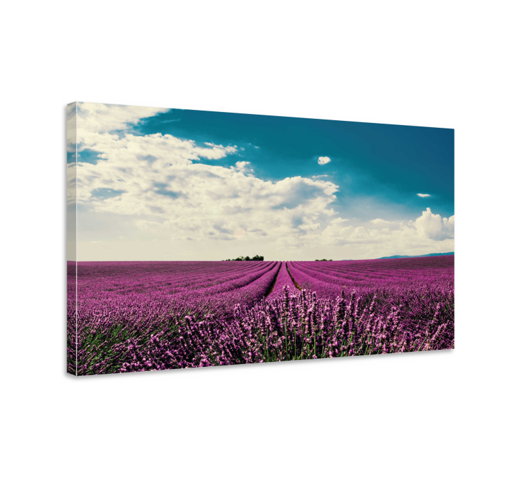 Flowers canvas lavender field landscape - TenStickers