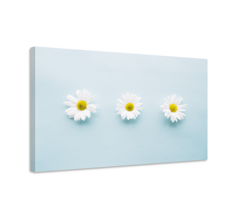 TRIO OF DAISIES Flowers  canvas - TenStickers