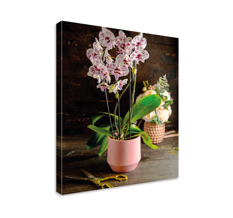 Orchid Arrangement Flowers  canvas - TenStickers