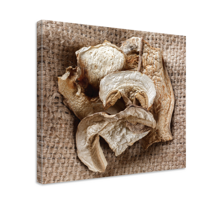 Flowers canvas dried mushroom display - TenStickers