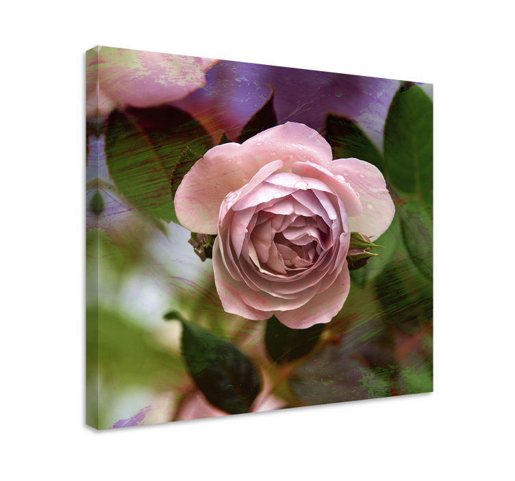 Flowers canvas pink rose blossom - TenStickers