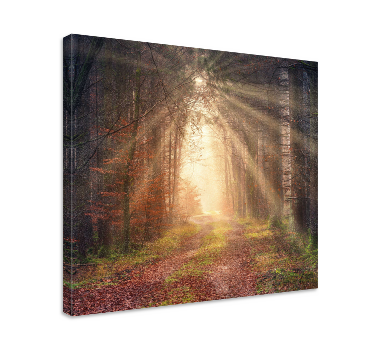 SERENE FOREST PATH landscape canvas - TenStickers