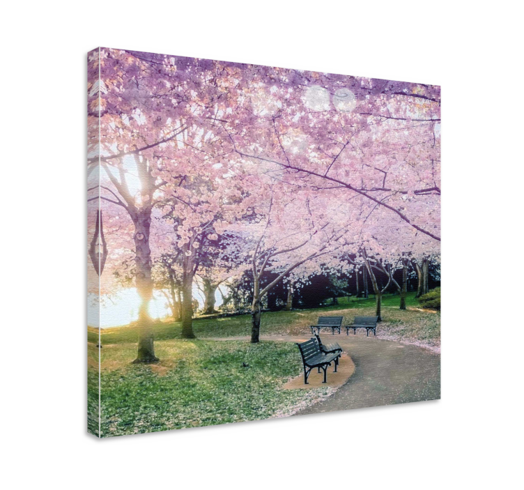 Flowers canvas cherry blossom pathway - TenStickers