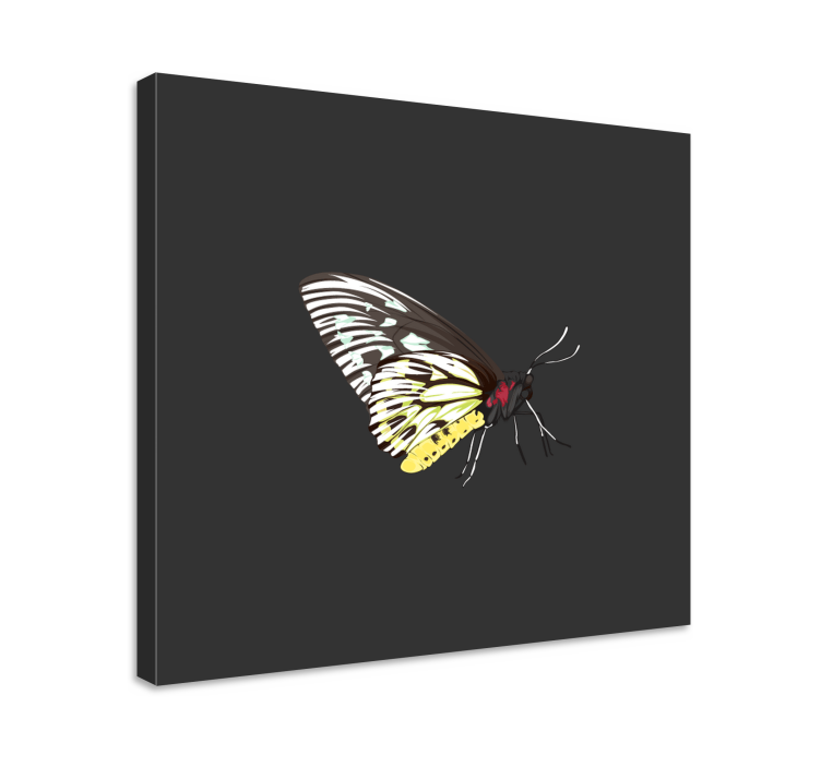 Butterfly canvas elegant butterfly design - TenStickers