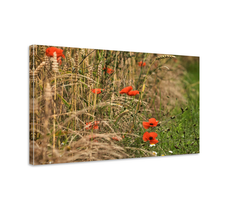Vibrant poppy field Flowers  canvas - TenStickers