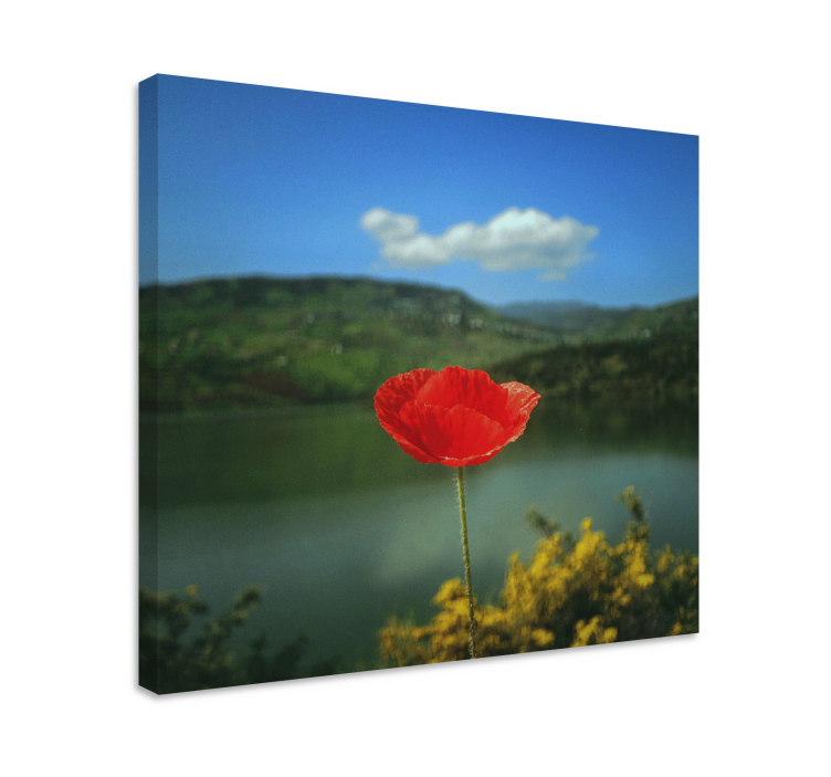 Flowers canvas red poppy blossom - TenStickers