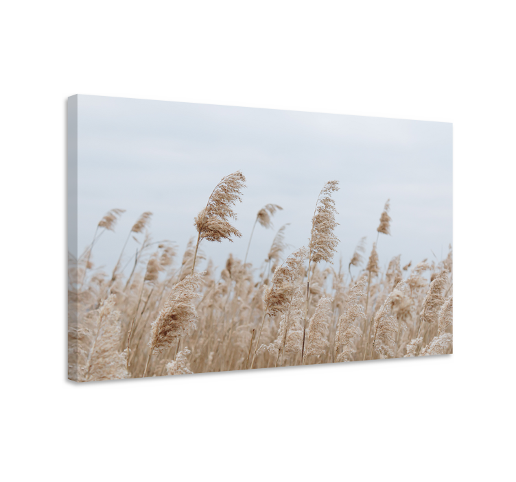 Flowers canvas gentle meadow whisper - TenStickers