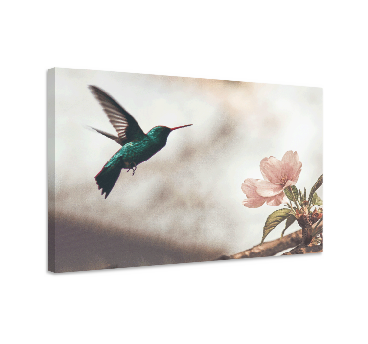Bird canvas wall art hummingbird and blossoms - TenStickers
