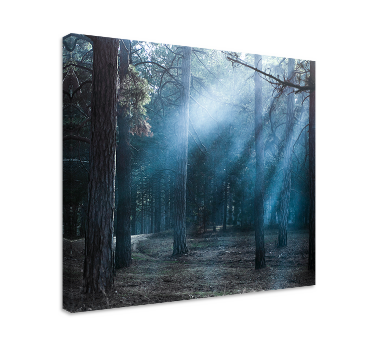 Landscape canvas hazy woodland trail - TenStickers