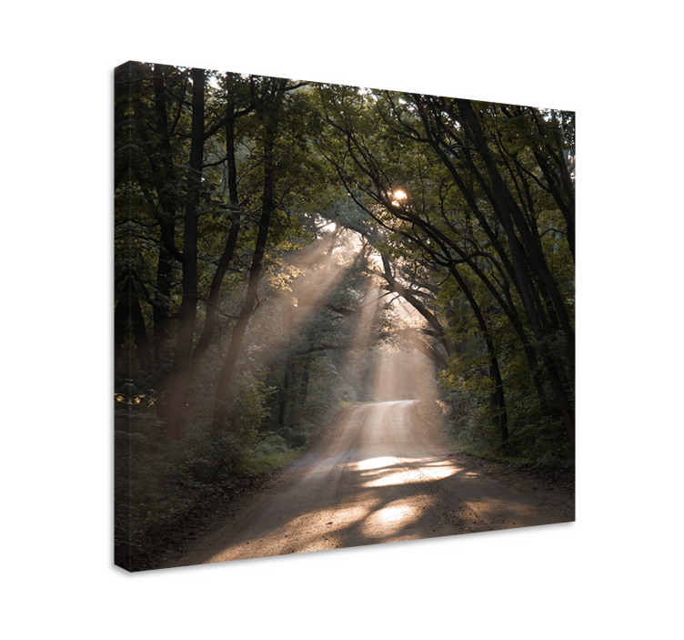 Landscape canvas sunny woodland trail - TenStickers