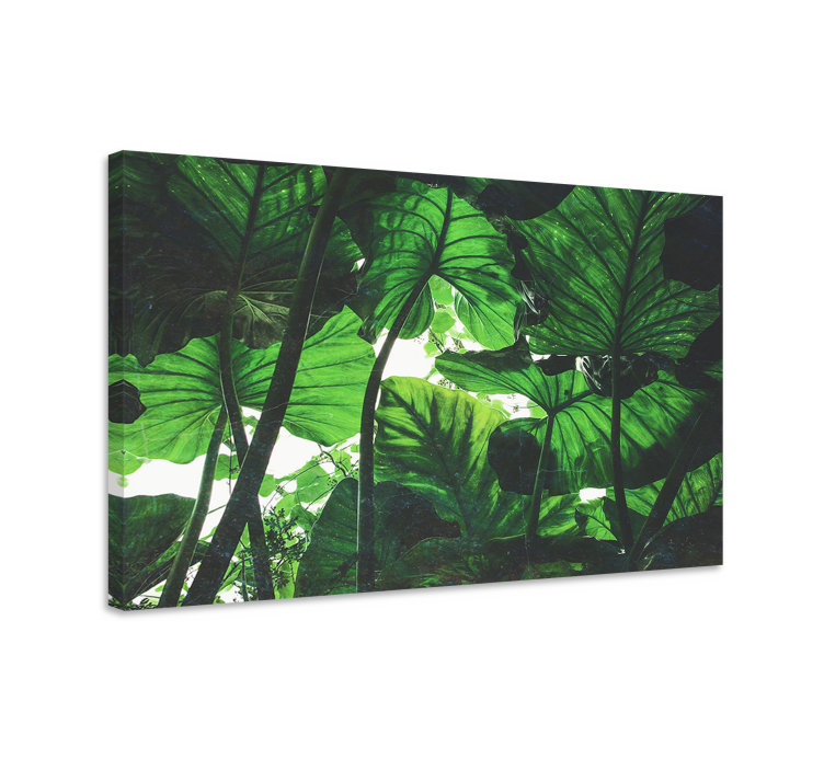 Flowers canvas tropical leaf canopy art - TenStickers