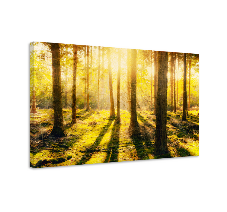 Landscape canvas sunny woodland scene - TenStickers