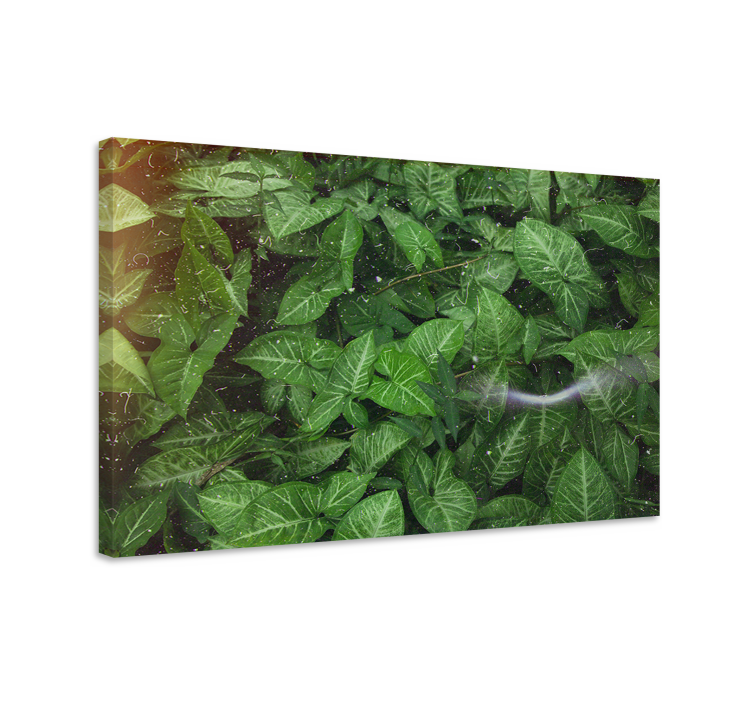 Flowers canvas with lush green foliage - TenStickers