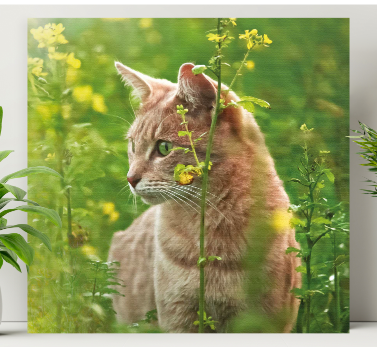 Cat wall art curious feline exploring - TenStickers