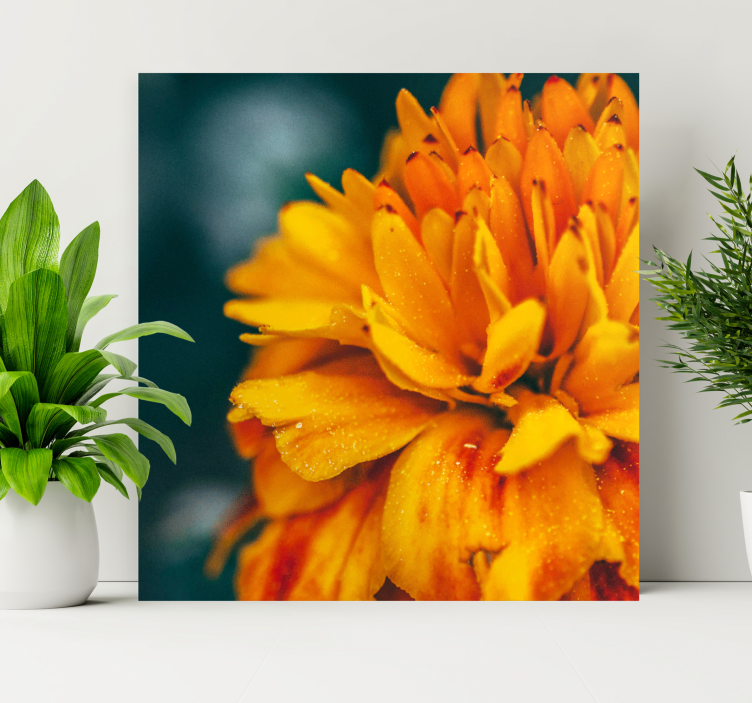 Flower canvas vibrant orange blossom art print - TenStickers