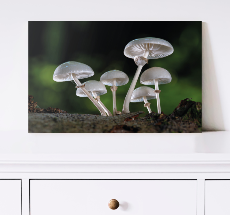Flowers canvas mushroom forest artwork - TenStickers