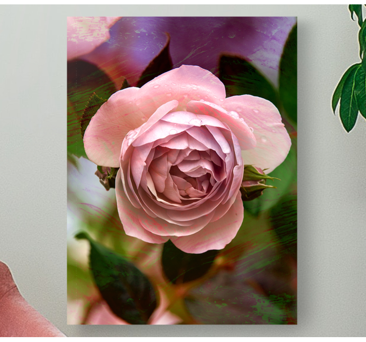 Flowers canvas pink rose blossom - TenStickers