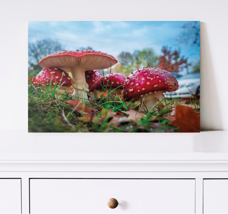 Flowers canvas red mushroom cluster - TenStickers