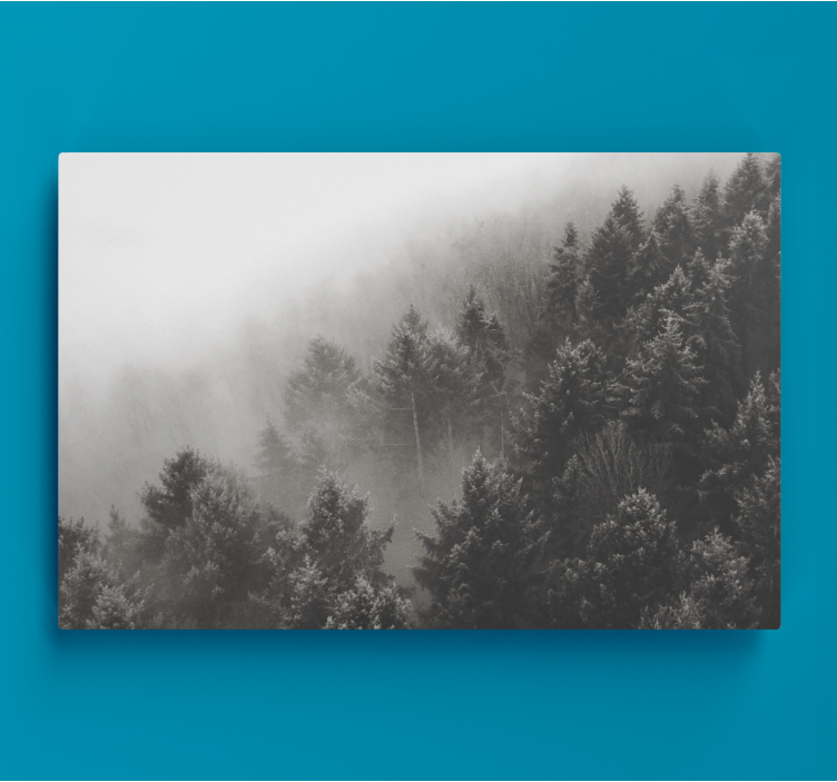 Forest with white pines 3D canvas prints - TenStickers