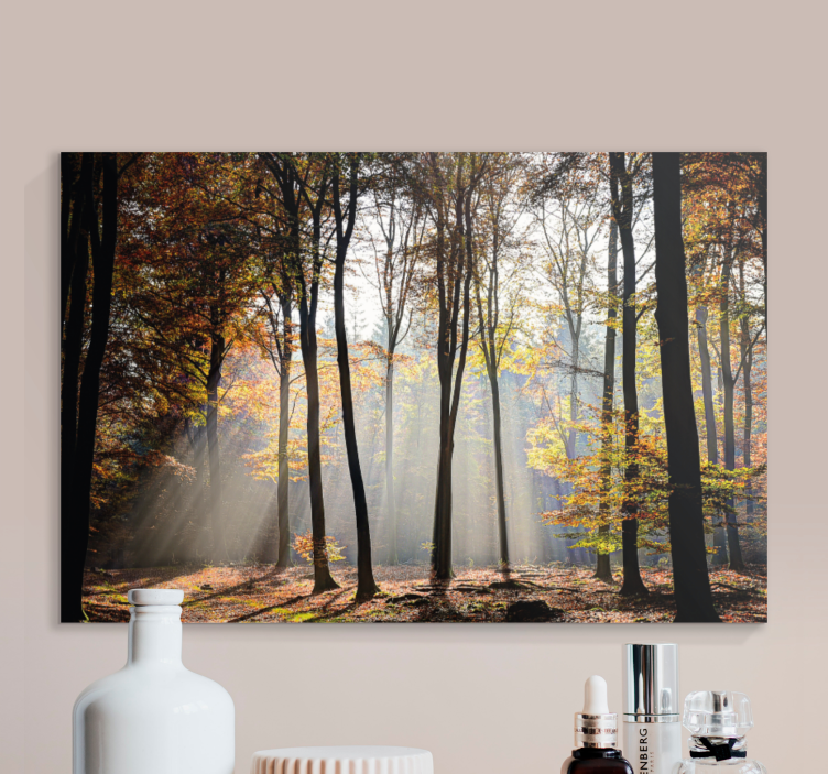 Landscape canvas forest light beams - TenStickers
