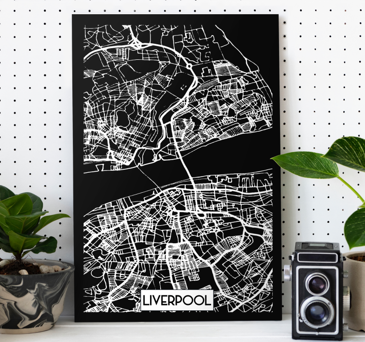 Liverpool Topographic Map city canvas prints - TenStickers