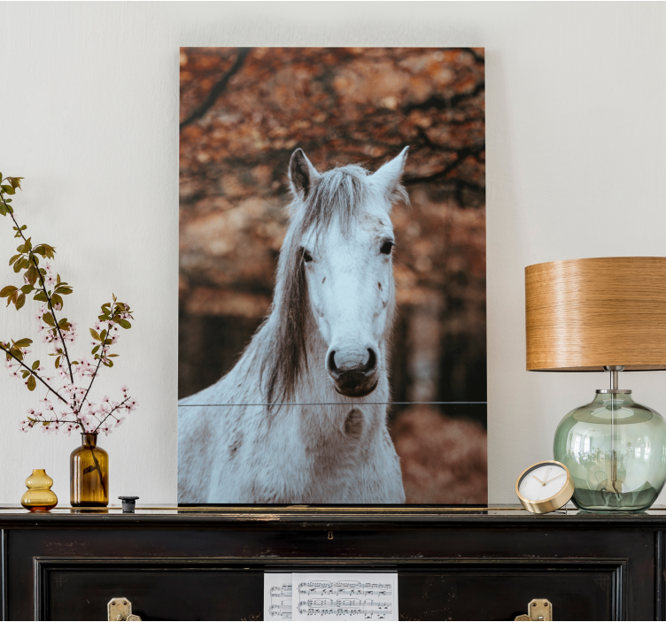 Majestic White Animal horse wall art - TenStickers