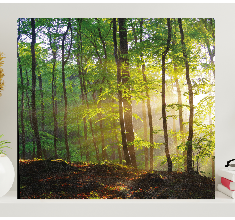 Sunlit Forest Scene tree canvas wall art - TenStickers