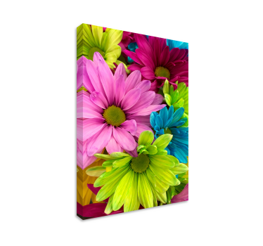 Colorful flowers   canvas - TenStickers