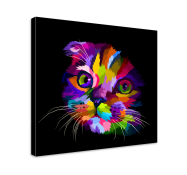 Painted Rainbow cat wall art canvas - TenStickers