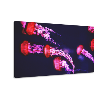 Jellyfish design animal canvas - TenStickers