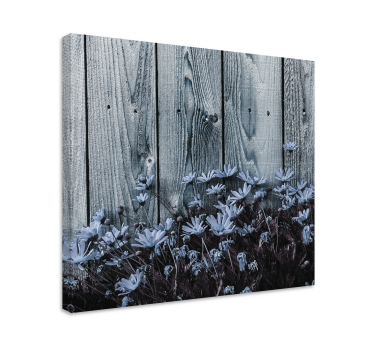 Daisy flower on gray wooden plank floral canvas - TenStickers