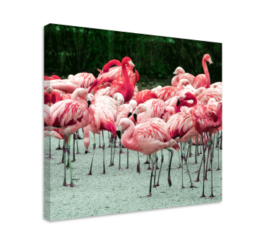 Bird canvas wall art flamingo flock decor - TenStickers