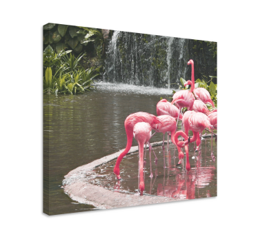 Bird canvas wall art flamingo flock at the pool - TenStickers